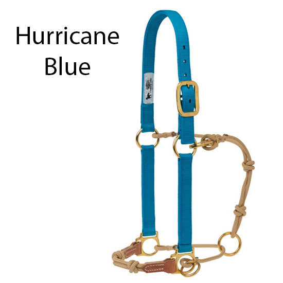 Weaver Leather Kalley Krickeberg Horseman's Halters with Slide Ring