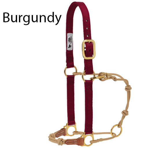 Weaver Leather Kalley Krickeberg Horseman's Halter by Weaver Leather