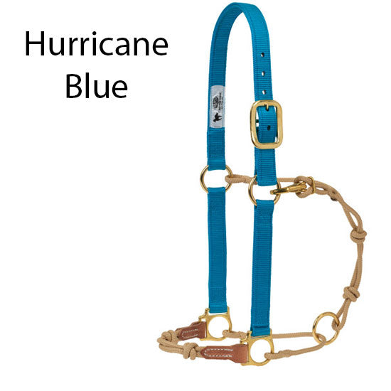 Weaver Leather Kalley Krickeberg Horseman's Halter by Weaver Leather