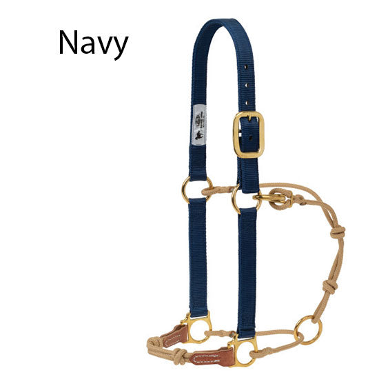 Weaver Leather Kalley Krickeberg Horseman's Halter by Weaver Leather