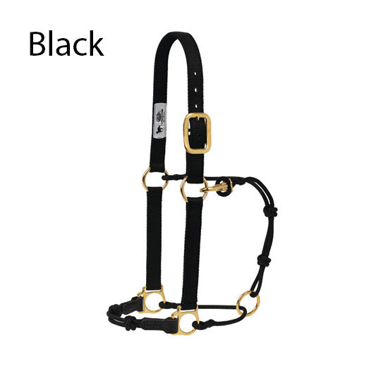 Weaver Leather Kalley Krickeberg Horseman's Halter by Weaver Leather