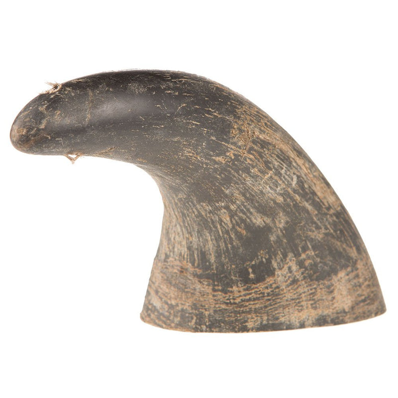 Qt Dog Small Buffalo Horn