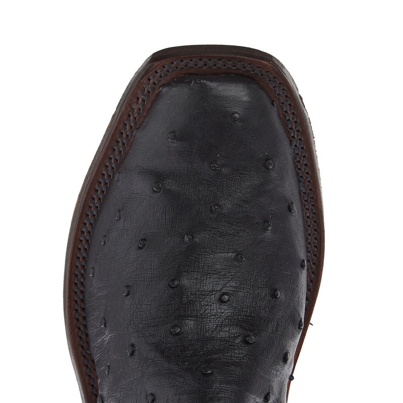 Anderson Bean Women's Ride Ready Black Full Quill Ostrich Vamp 12in Puma Kidskin Top Boot