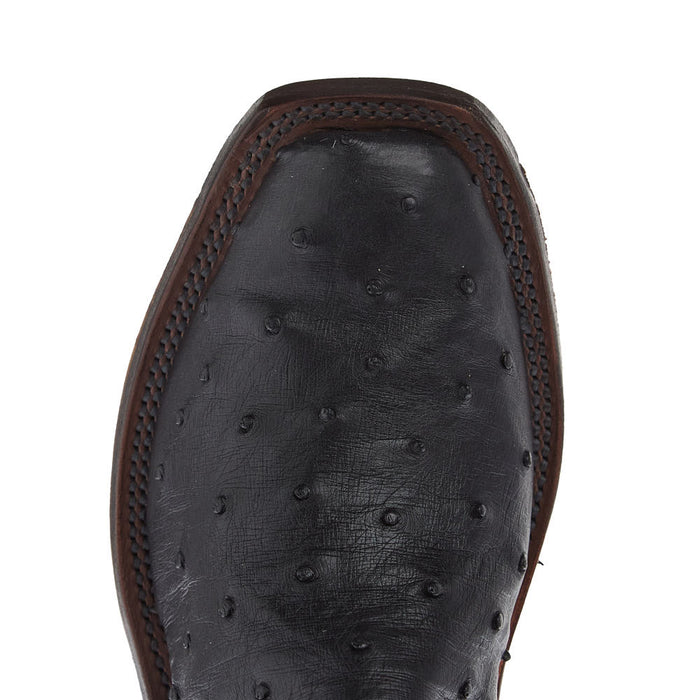 Anderson Bean Women's Ride Ready Black Full Quill Ostrich Vamp 12in Puma Kidskin Top Boot