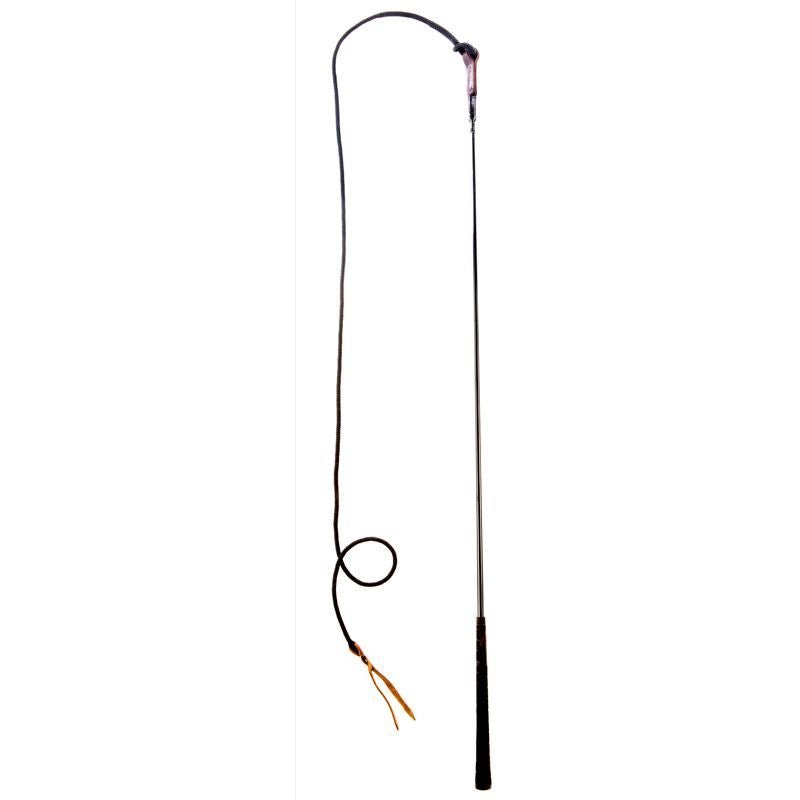 Stick and String