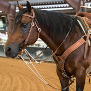 Oiled Harness Roping Rein German Martingale
