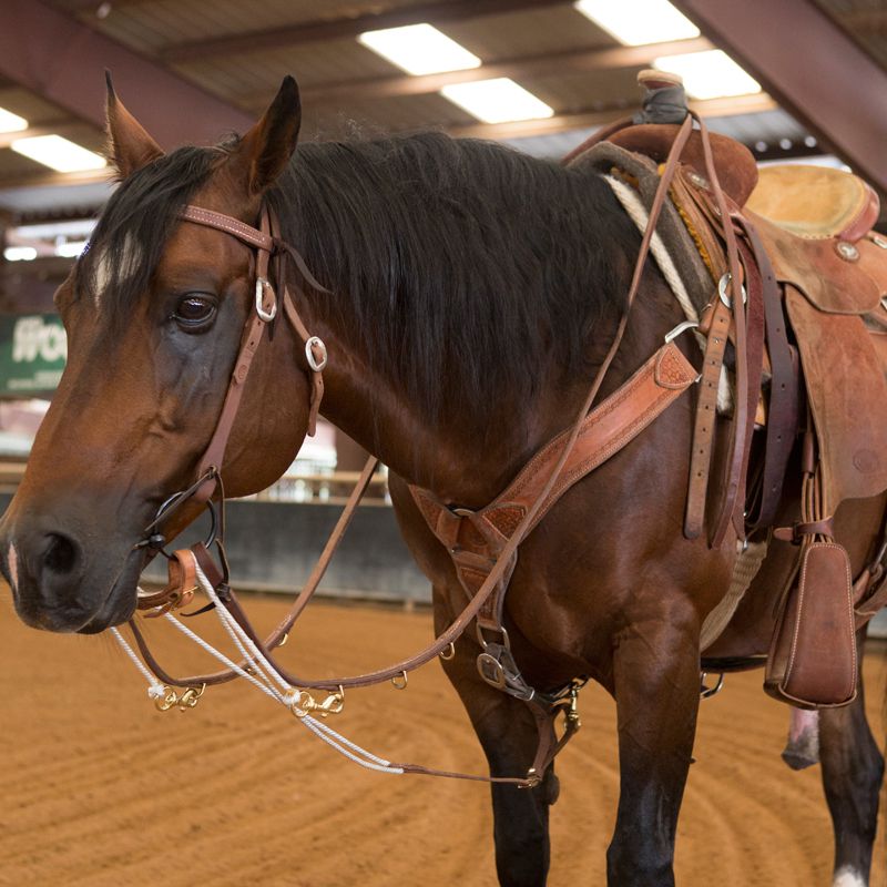 Oiled Harness Leather German Martingale
