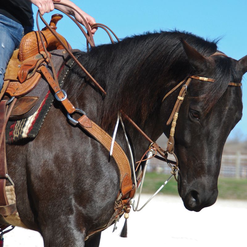 String Martingale With Neck Piece