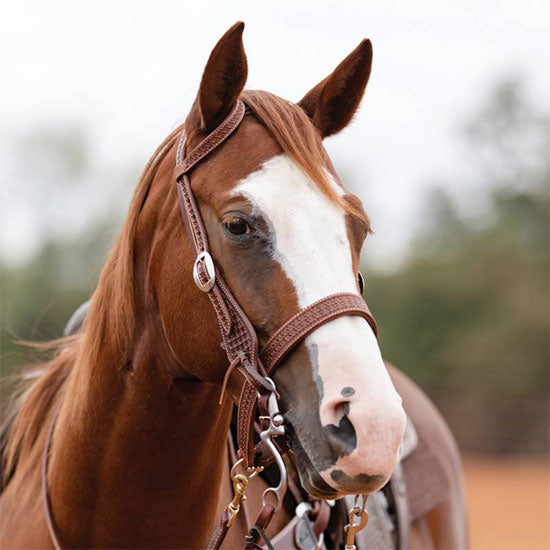 Professionals Choice Windmill Heavy Oil Noseband