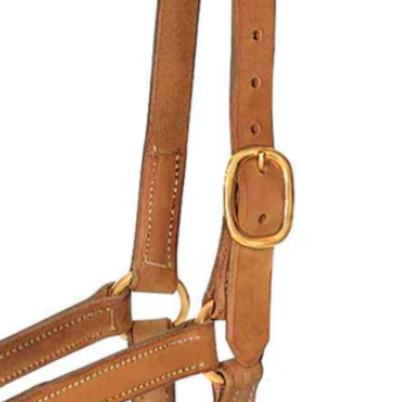 Professionals Choice 1in Average Horse Harness Leather Turn Out Halter