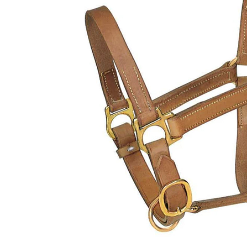 Professionals Choice 1in Average Horse Harness Leather Turn Out Halter
