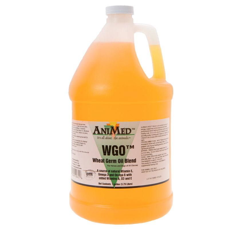 Wheat Germ Oil-Blend Gallon
