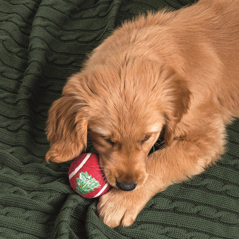 Mud Pie Assorted Christmas Pet Tennis Ball
