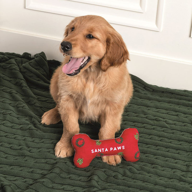 Mud Pie Assorted Embroidered Dog Bone Toy