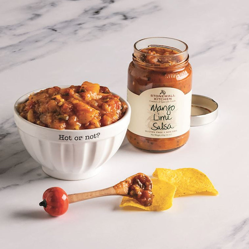 Mud Pie Salsa Bowl Gift Set
