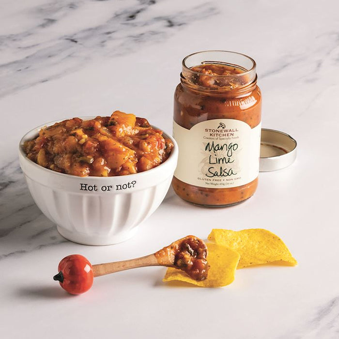 Mud Pie Salsa Bowl Gift Set