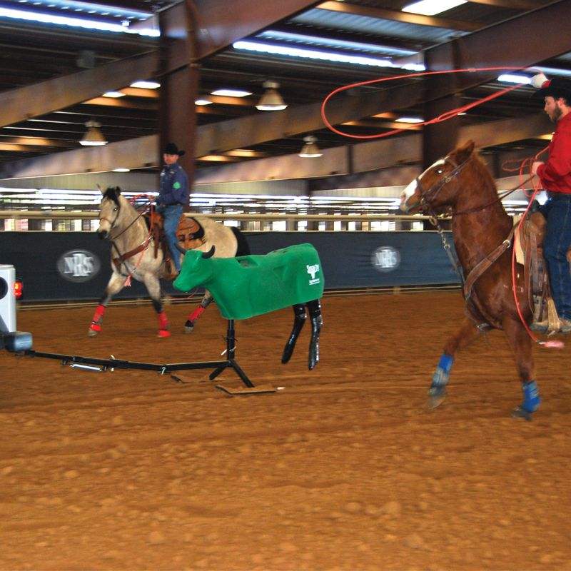 Smarty The Steer Sled Team Roping Dummy