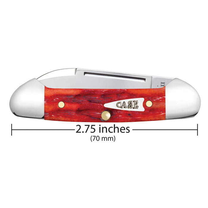 Case Indian Paint Brush Bone - Kinfolks Jig Baby Butterbean