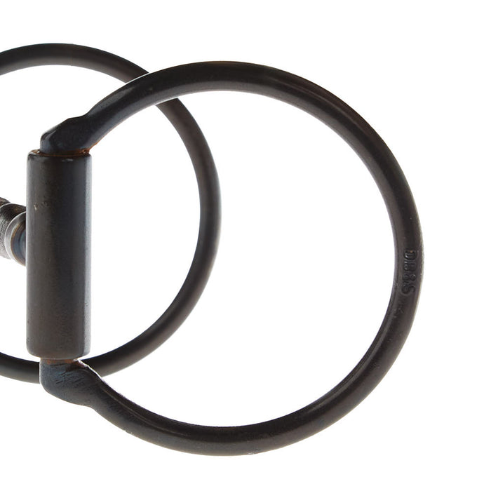Dutton Bits Traditional Offset D Snaffle with Solid Bead Mouthpiece