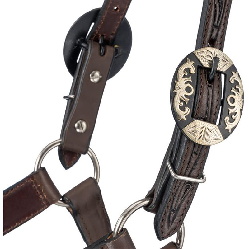 Tough 1 Silver Royal Dark Oil Ranch Horse Show Halter