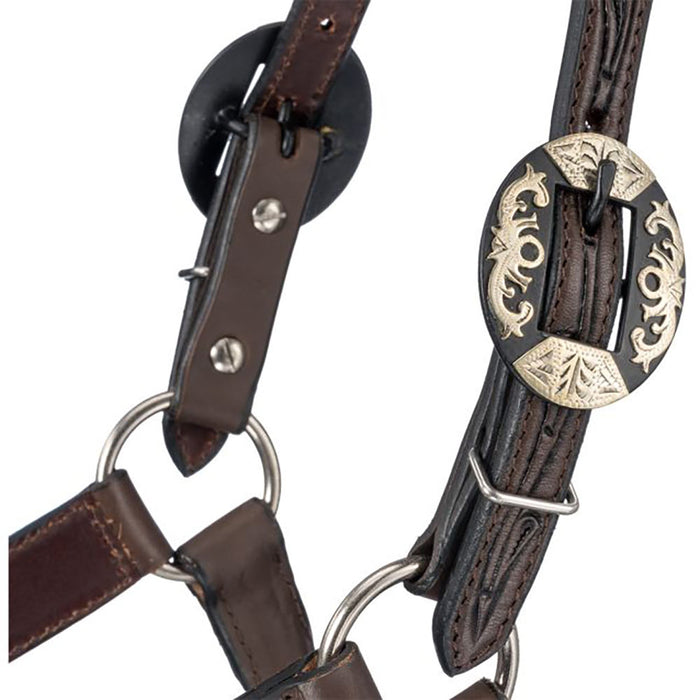 Tough 1 Silver Royal Dark Oil Ranch Horse Show Halter