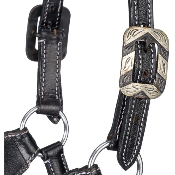 Tough 1 Two-Tone Stampede Lariat Nose Halter