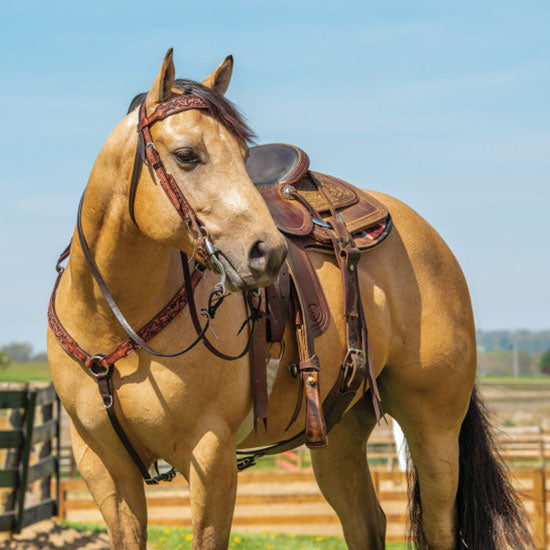 Weaver Leather Pioneer 5/8' Browband Headstall