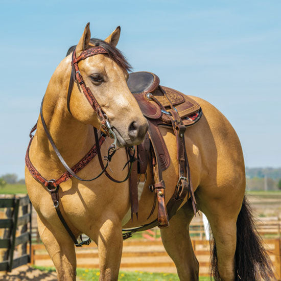 Weaver Leather Pioneer Straight Breast Collar