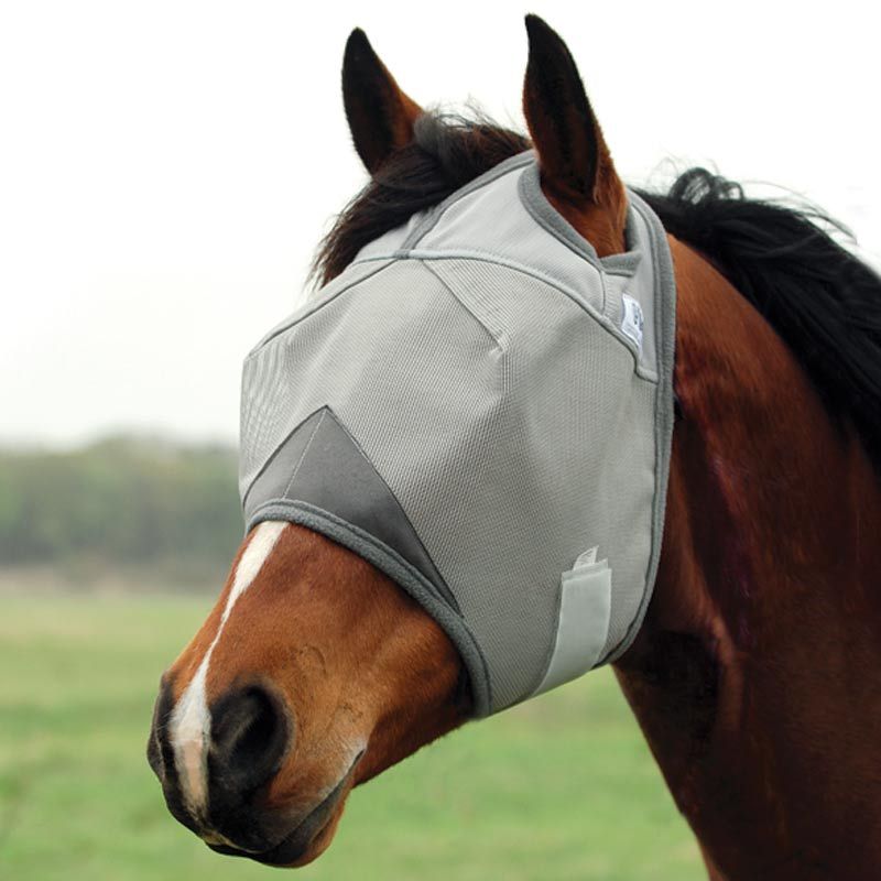 Fly Sheets, Fly Bait, & Fly Traps