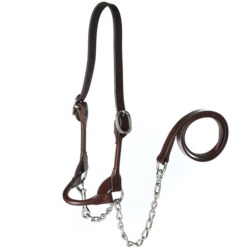 Leather Dairy/Beef Rounded Brown Show Halter Small