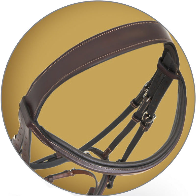 Pessoa Pro Fancy Raised Bridle