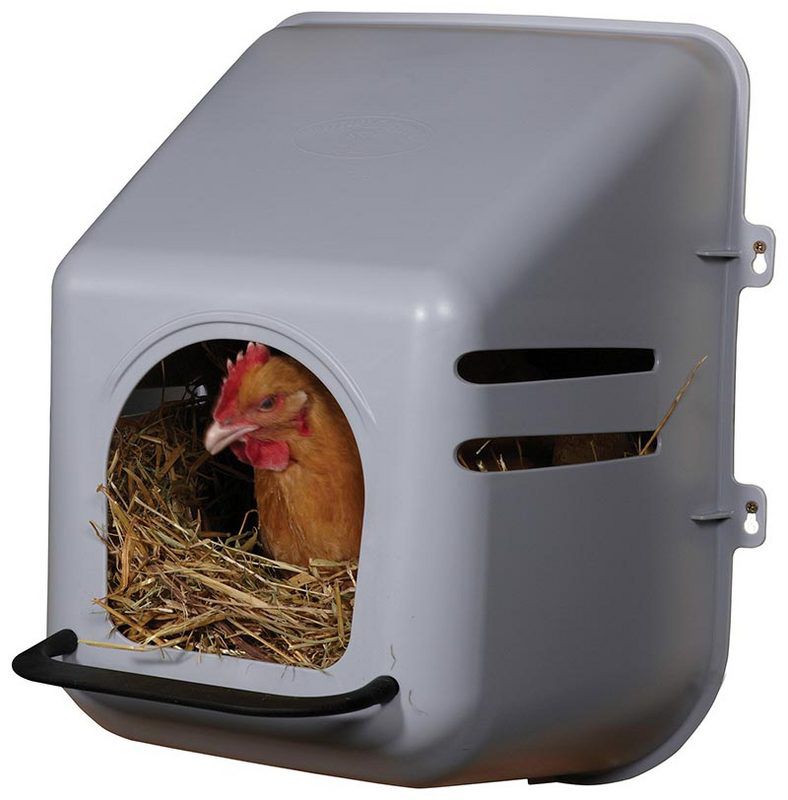 Single Plastic Hen Nesting Box
