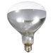 Heat Lamp Bulb Clear Bulbs 250 Watt