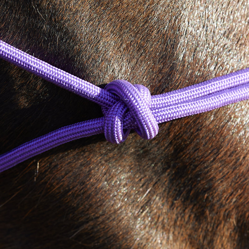 Tough 1 Miniature Poly Rope Tied Halter with Lead
