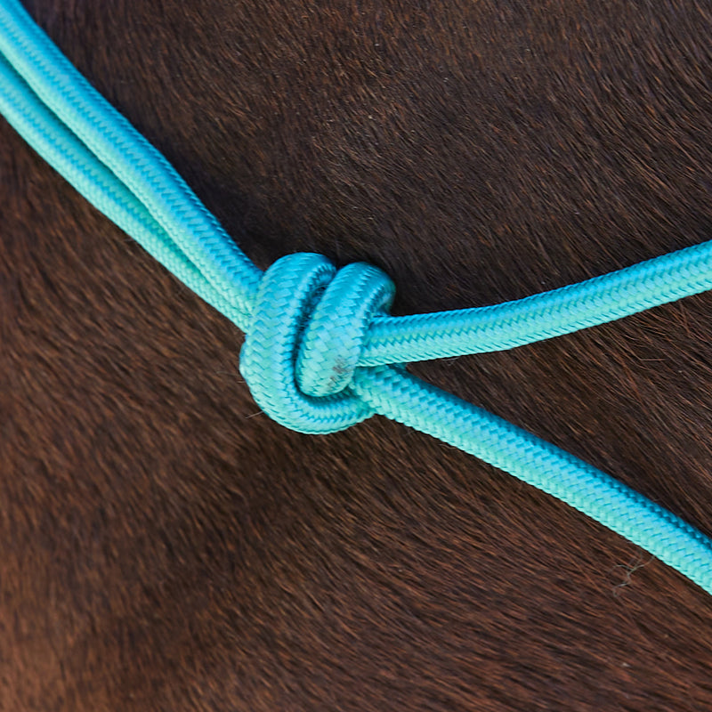 Tough 1 Miniature Poly Rope Tied Halter with Lead