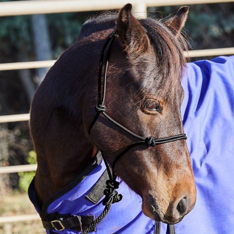 Tough 1 Miniature Poly Rope Tied Halter with Lead
