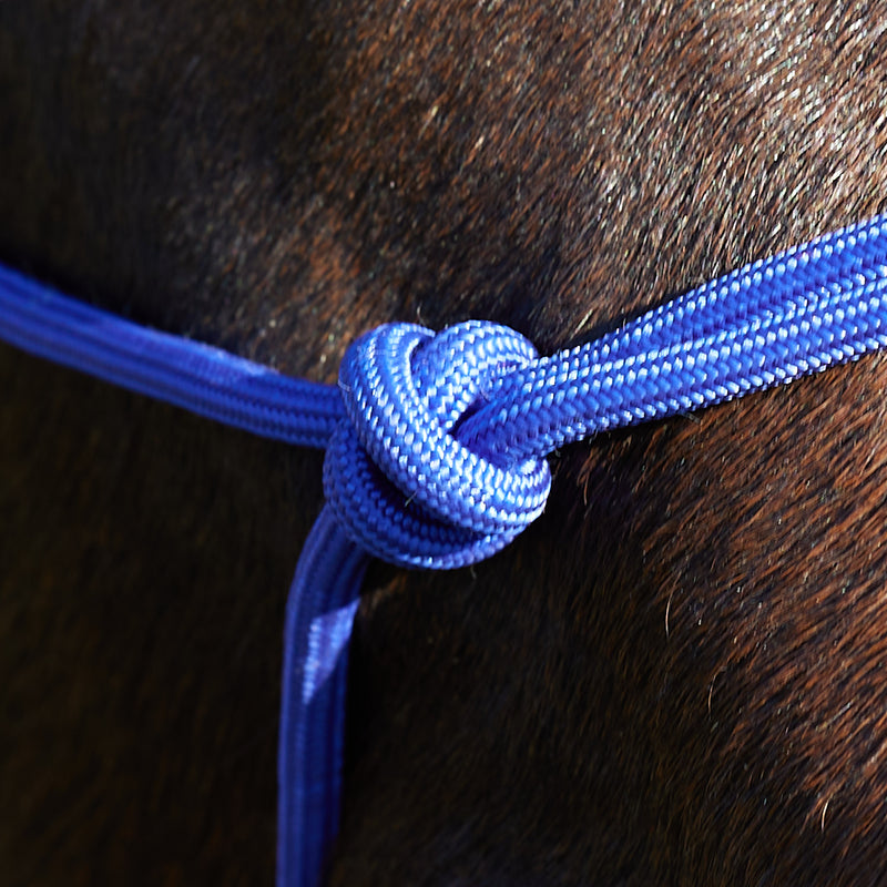 Tough 1 Miniature Poly Rope Tied Halter with Lead