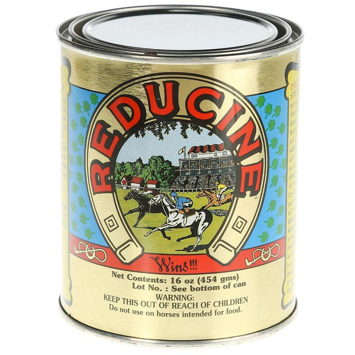 Reducine Original Absorbent 16oz