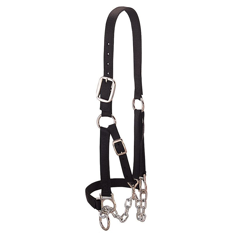 Leather Heavy-Duty Restraint Halter Medium