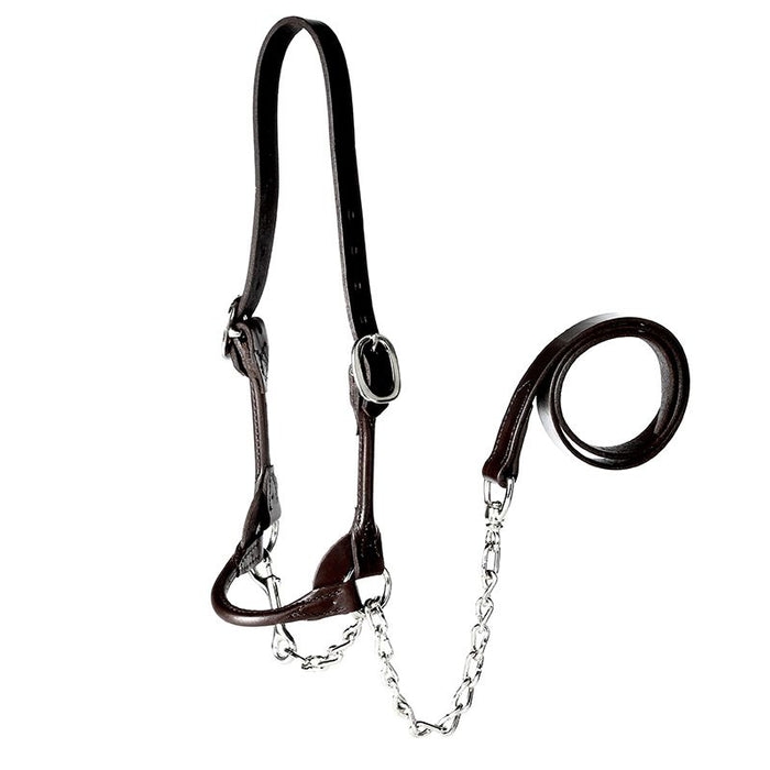 Leather Dairy/Beef Rounded Black Show Halter Small