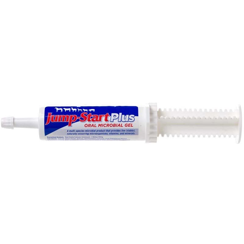 Jump Start-Plus Gel-Multi Specie 60gm