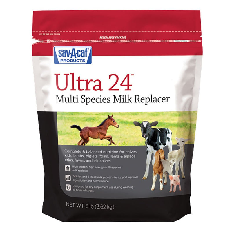 A GradeUltra 24 Multi Species Milk Replacer 8lb