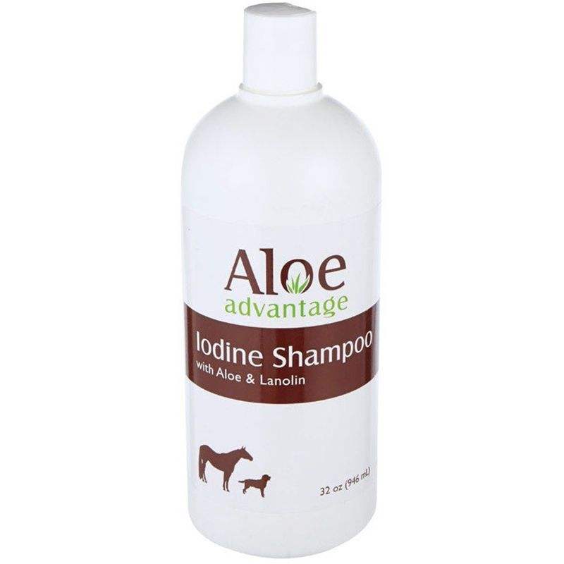 Durvet Aloe Advantage Iodine Shampoo 32oz