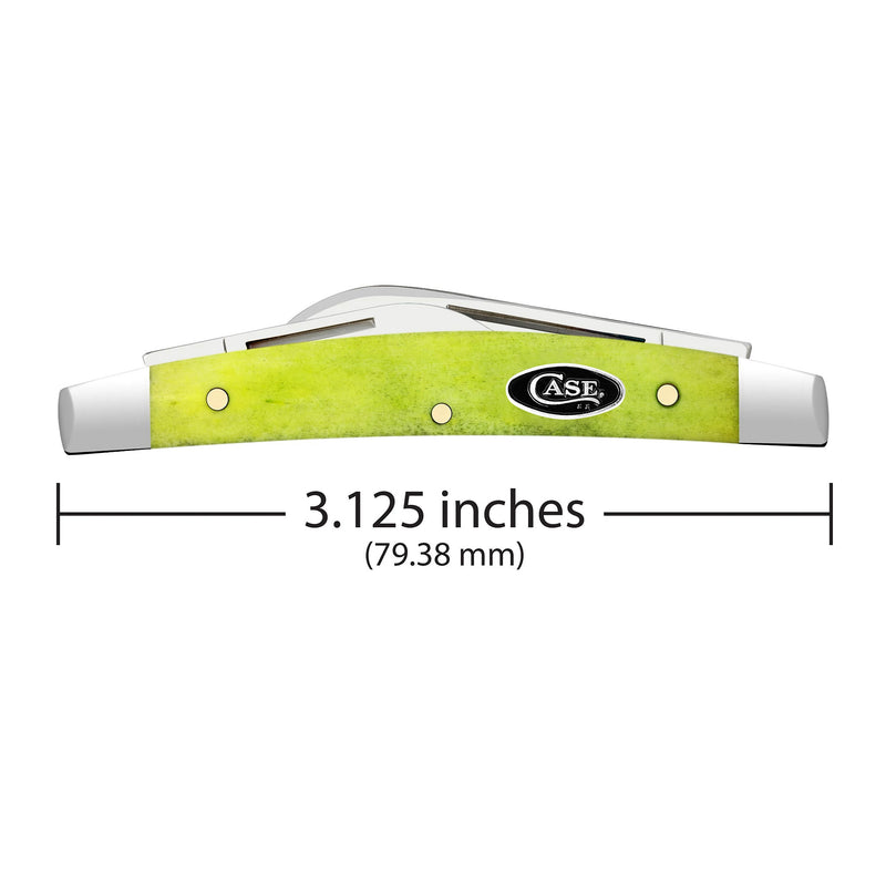 Case XX Small Congress Smooth Green Apple Bone Pocket Knife CA53032
