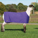 Leather Sheep and Goat Underblanket Extra Small/Small Purple