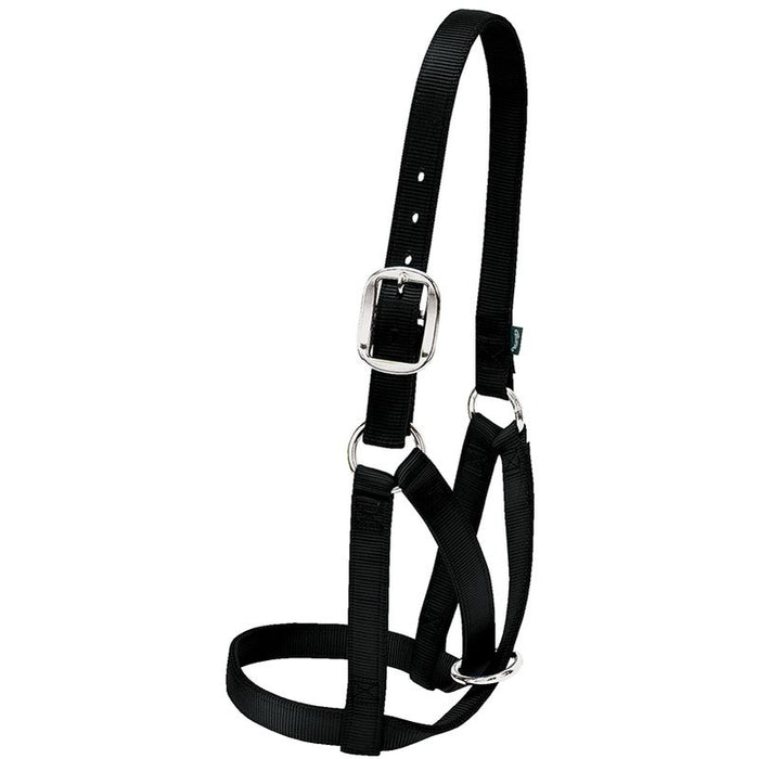 Leather Medium Black Barn Cow Halter 1in