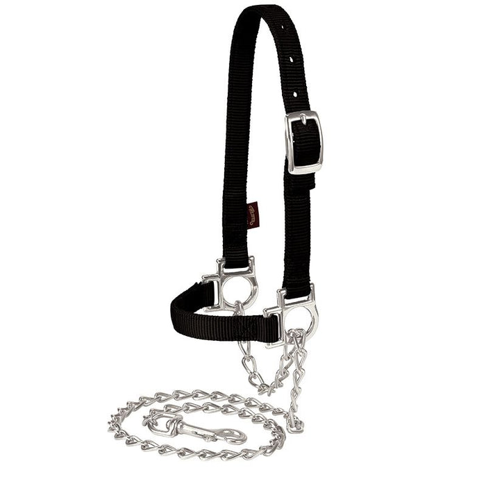 Leather Nylon Adjustable Sheep Halter with Chain Lead Black