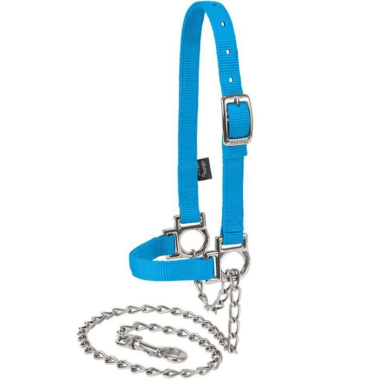 Leather Nylon Adjustable Sheep Halter with Chain Lead Blue