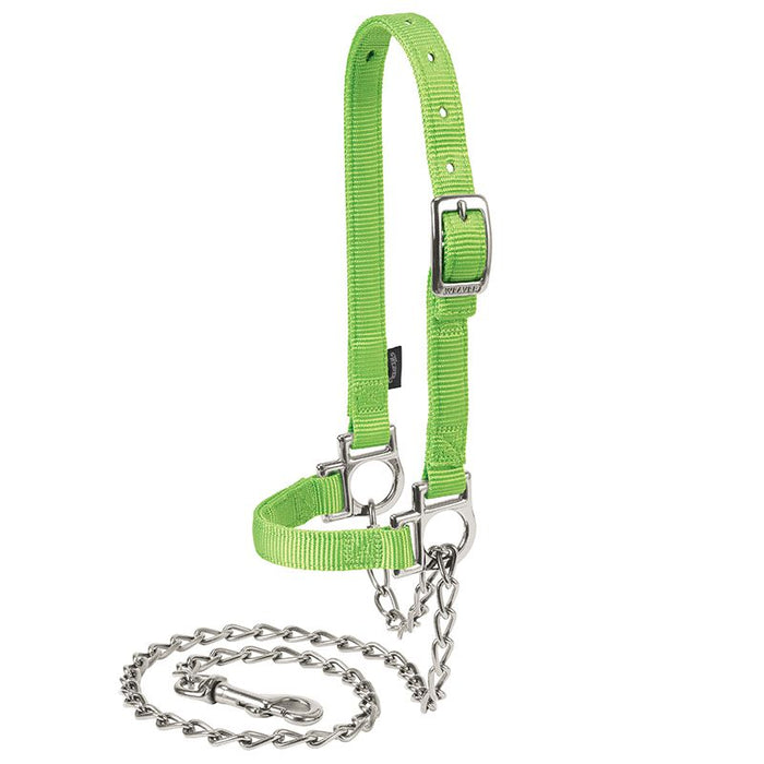Leather Nylon Adjustable Sheep Halter with Chain Lead Lime