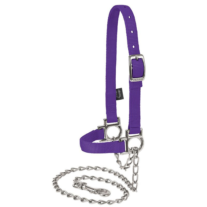 Leather Nylon Adjustable Sheep Halter with Chain Lead Purple